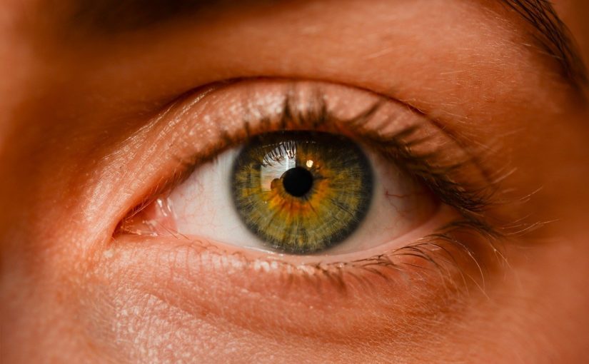 Oczy to ekstrawagancki organ. To otóż to dzięki nim rozróżniamy.